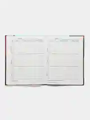 Разноцветный дневник школьный, универсальный, для 1-11 классов, аниме