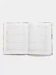 Терракотовый дневник школьный, универсальный, для 1-11 классов, аниме