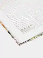 Терракотовый дневник школьный, универсальный, для 1-11 классов, аниме