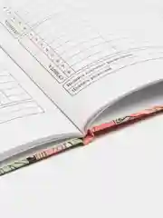 Терракотовый дневник школьный, универсальный, для 1-11 классов, аниме