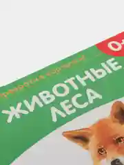 Лайм развивающие карточки по методике Г. Домана в одном месте (мега)