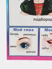 Лимонный плакат "Тело человека. Это я!" Лицо. Органы чувств. Кожа. Строение тела человека. Дет. сад