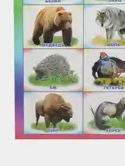 Белый плакат Дикие животные. Домашние животные. Птицы перелетные, зимущие. России. Насекомые