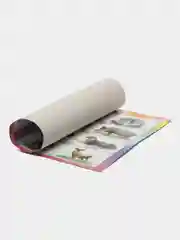Белый плакат Дикие животные. Домашние животные. Птицы перелетные, зимущие. России. Насекомые