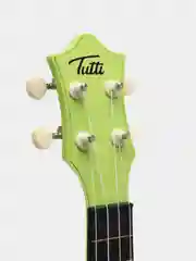 Укулеле сопрано TUTTI JR-10 SPR "ВЕСЕННИЙ БУТОН"