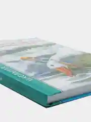 Детская книга "Чудесное приключение Нильса с дикими гусями", Проф-Пресс