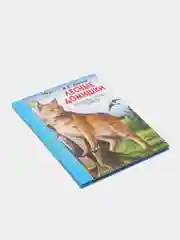Детская книга Школьная библиотека "Лесные домишки", В. Бианки, Проф-Пресс