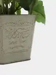 Розовый анютины глазки в металлическом кашпо