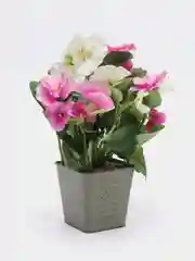 Розовый анютины глазки в металлическом кашпо