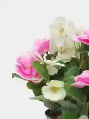 Розовый анютины глазки в металлическом кашпо
