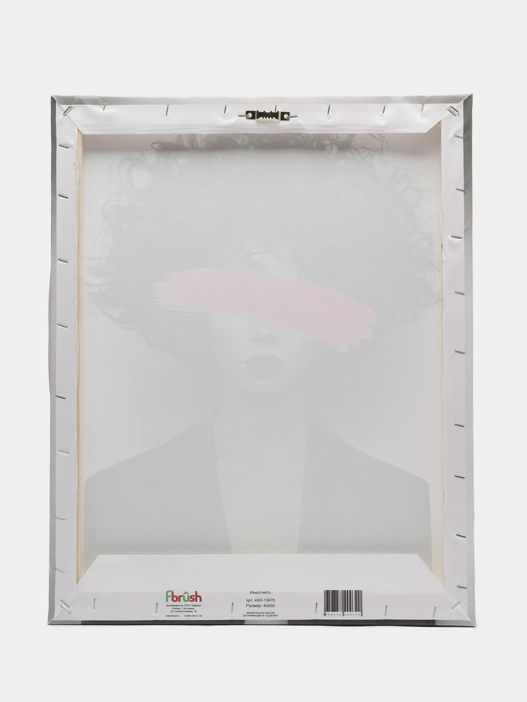 Картина Fbrush Инкогнито 40х50 см, на холсте, с подрамником