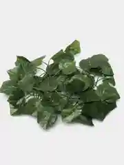 Желтый лиана искусственная, плющ декоративный