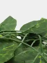 Желтый лиана искусственная, плющ декоративный