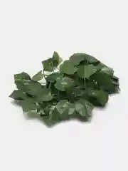 Желтый лиана искусственная, плющ декоративный