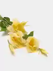 Бежевый искусственные цветы Эустома