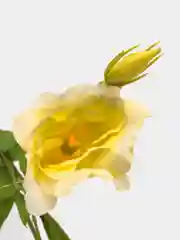 Бежевый искусственные цветы Эустома