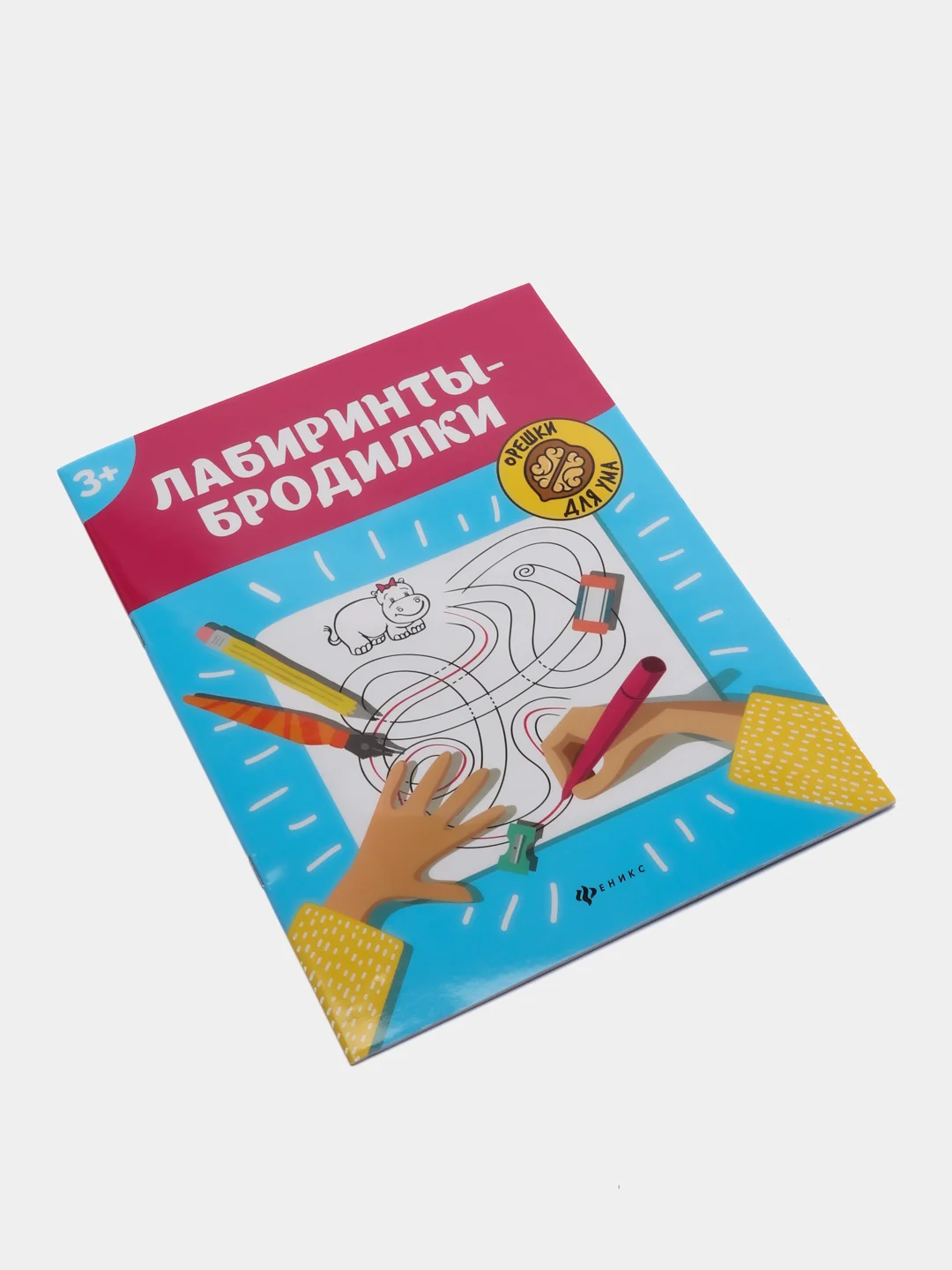 Лабиринты-бродилки: 3+