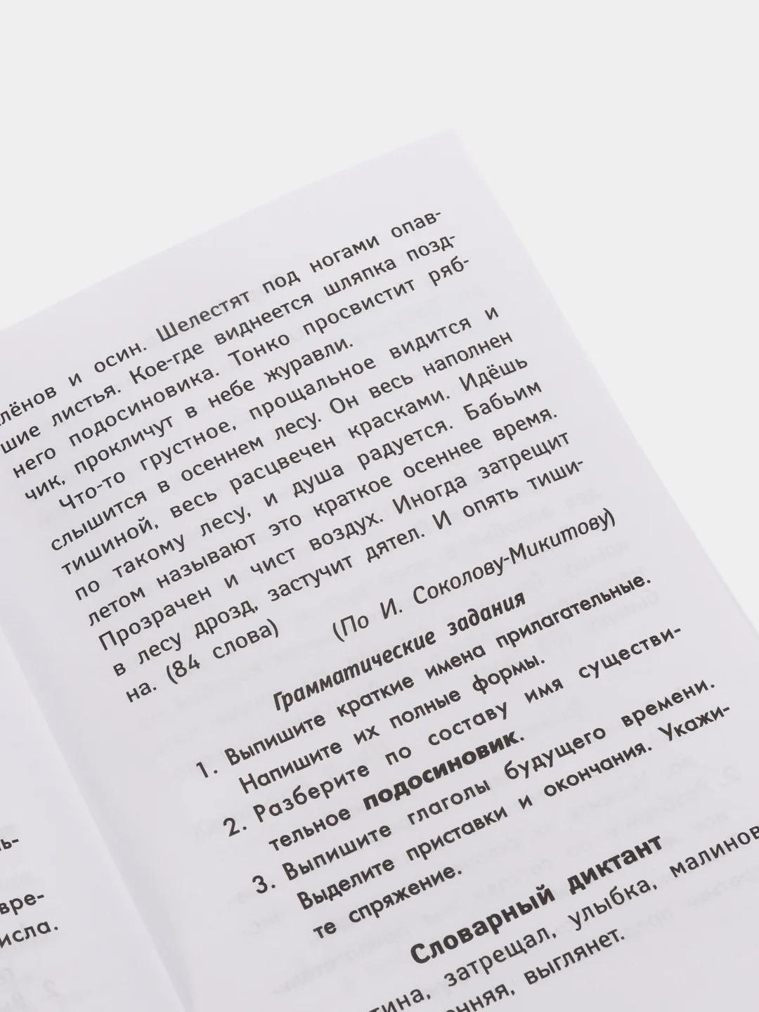 Лучшие диктанты и грамматические задания по русскому языку повышенной сложности: 4 класс