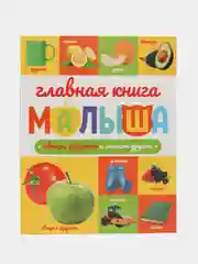 Детские развивающие книги "Главная книга малыша", 96 страниц, Проф-пресс