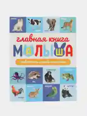Детские развивающие книги "Главная книга малыша", 96 страниц, Проф-пресс