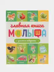 Детские развивающие книги "Главная книга малыша", 96 страниц, Проф-пресс