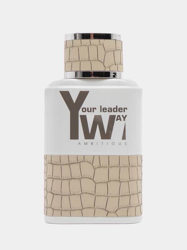 Туалетная вода мужская, духи Your Leader Way, 100 мл