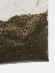 Лакомство для кошек "Кошачья мята", 1 г