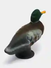 Чучело кряквы