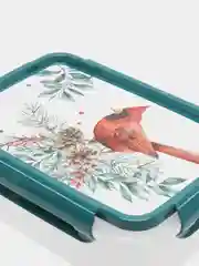 Зеленый прямоугольный контейнер для СВЧ "Английская зима"