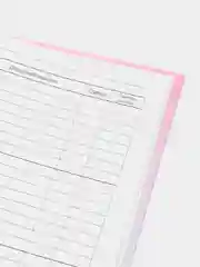 Розовый дневник 1-4 кл, 48 л, твердый, матовая ламинация