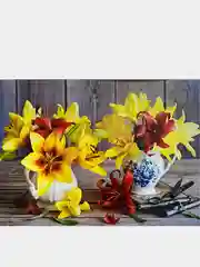 Коралловый меланж алмазная мозаика на подрамнике 40*50, полная выкладка