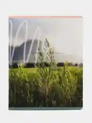 Зеленый тетрадь MOOD, 48 листов