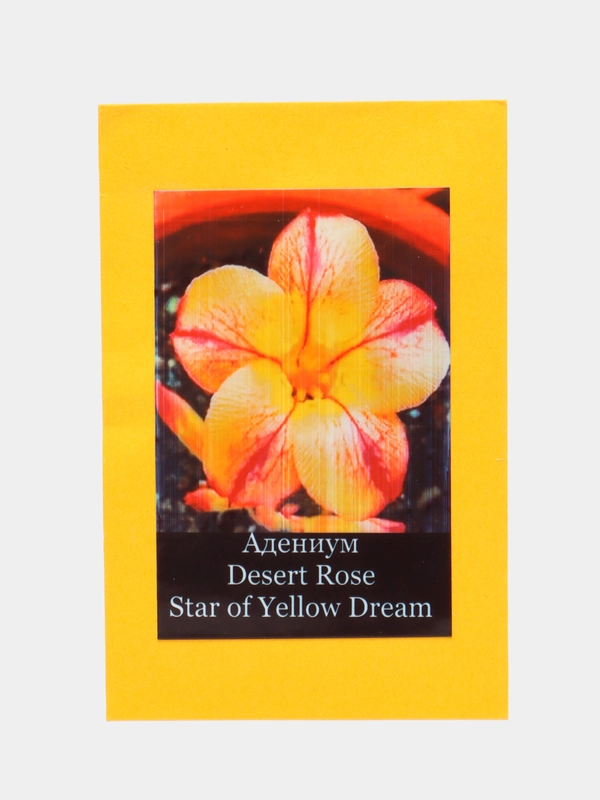 АДЕНИУМ, Adenium Obesum Desert Rose STAR OF YELLOW DREAM, цветы, семена