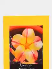 АДЕНИУМ, Adenium Obesum Desert Rose STAR OF YELLOW DREAM, цветы, семена