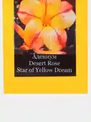 АДЕНИУМ, Adenium Obesum Desert Rose STAR OF YELLOW DREAM, цветы, семена