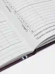 Аметистовый дневник школьный