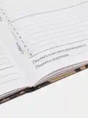Аметистовый дневник универсальный для 1-11 классов, твердый