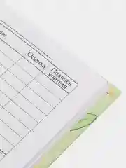 Зеленый дневник универсальный для 1-11 классов, твердый