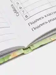 Зеленый дневник универсальный для 1-11 классов, твердый