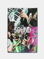 Фиолетовый карточки Stray Kids 55шт