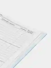 Фуксия школьный дневник, 1-11 класс