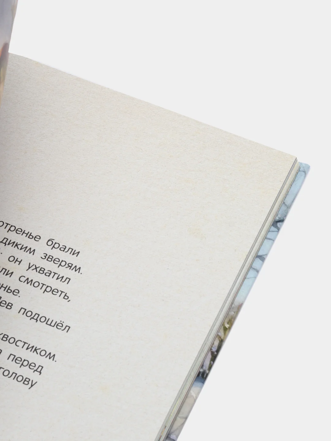 Филипок. Рассказы, проверенные временем / Л. Толстой, В. Катаев, М. Зощенко, Е. Шварц