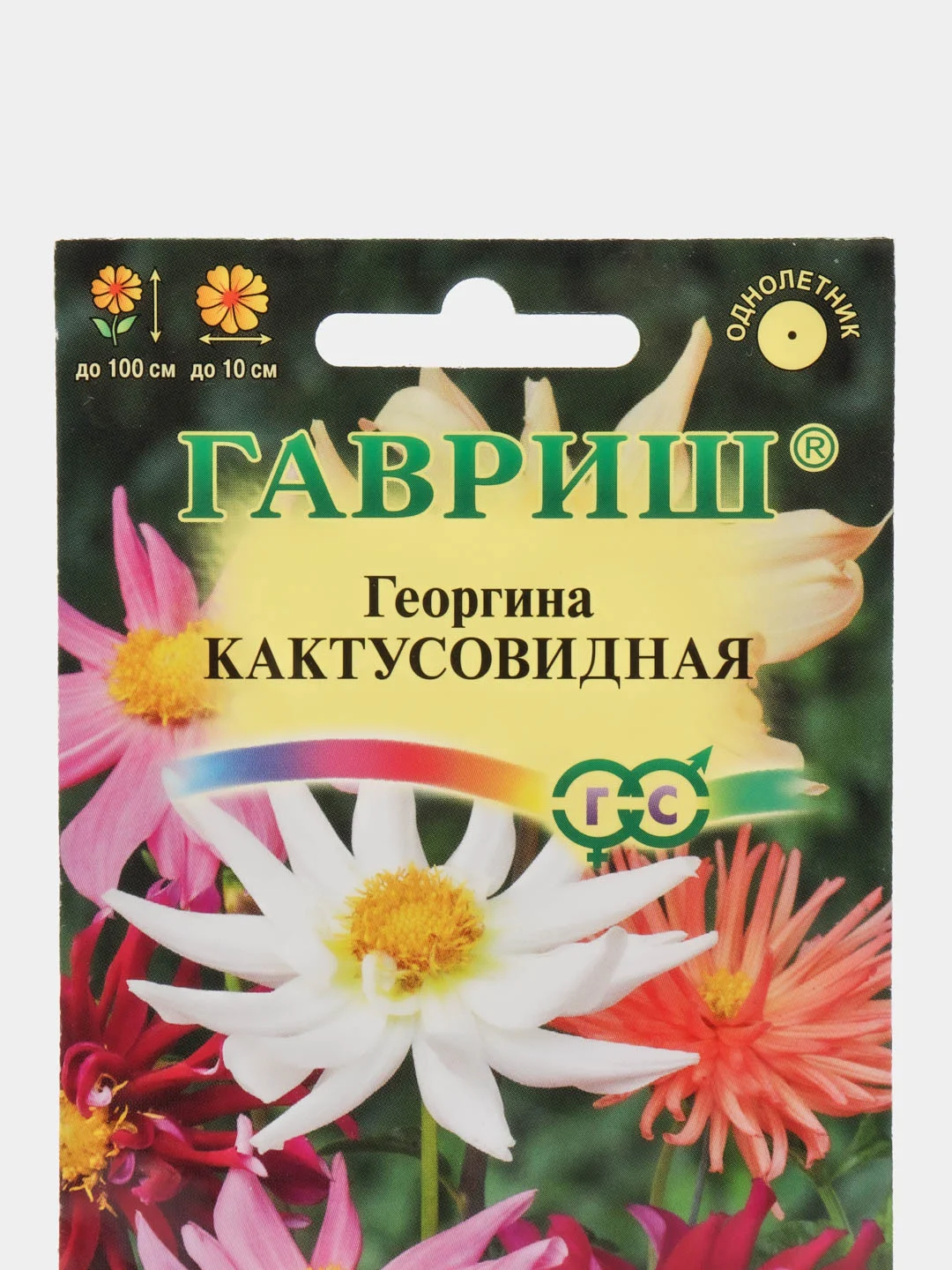 Георгина "Кактусовидная" (семена, цветы)