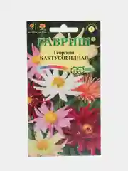 Георгина "Кактусовидная" (семена, цветы)
