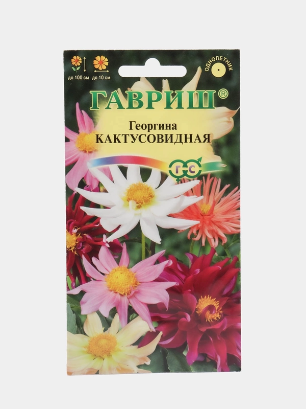 Георгина "Кактусовидная" (семена, цветы)