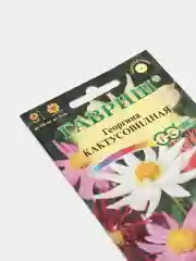 Георгина "Кактусовидная" (семена, цветы)