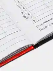 Багровый дневник школьный для 1-11 класса, твёрдая обложка