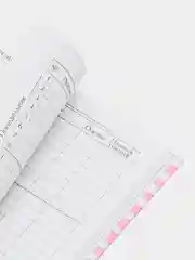 Тёмно-розовый дневник школьный для 1-11 класса, твёрдая обложка