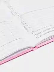 Тёмно-розовый дневник школьный для 1-11 класса, твёрдая обложка
