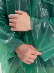 Лайм дождевик на кнопках